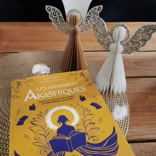 livre Tina Hellingrath - Mémoires Akashiques optim