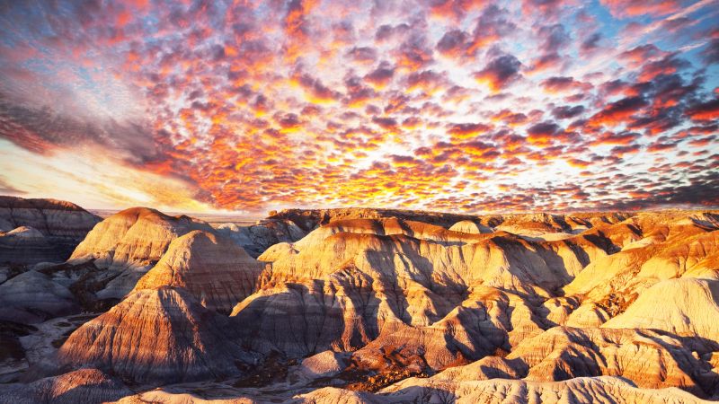La Mongolie – là ou la Terre rencontre le Ciel